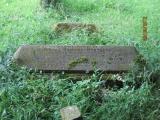 image of grave number 251256